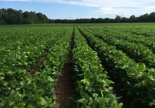 The Vital Role of Agriculture in the Economic Growth of Mobile County, Alabama